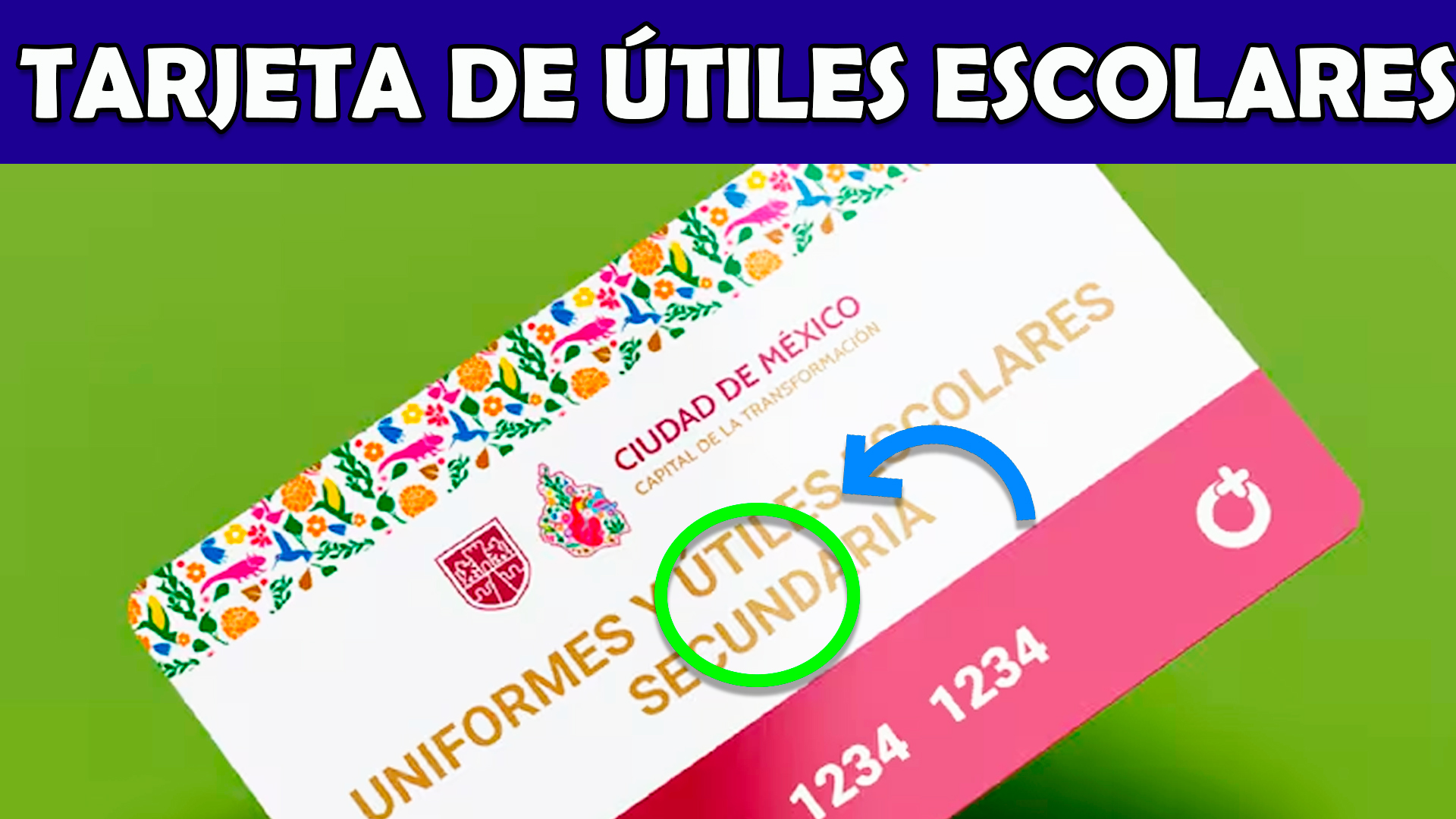 Arranca el Reparto de Tarjetas para Uniformes y Útiles Escolares 2025: Todo lo Que Debes Saber