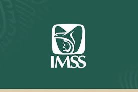 ¿Te toca pensión de por vida o solo el monto de tu Afore? Estas son las diferencias entre la Ley 73 y 97 del IMSS que definirán tu futuro
