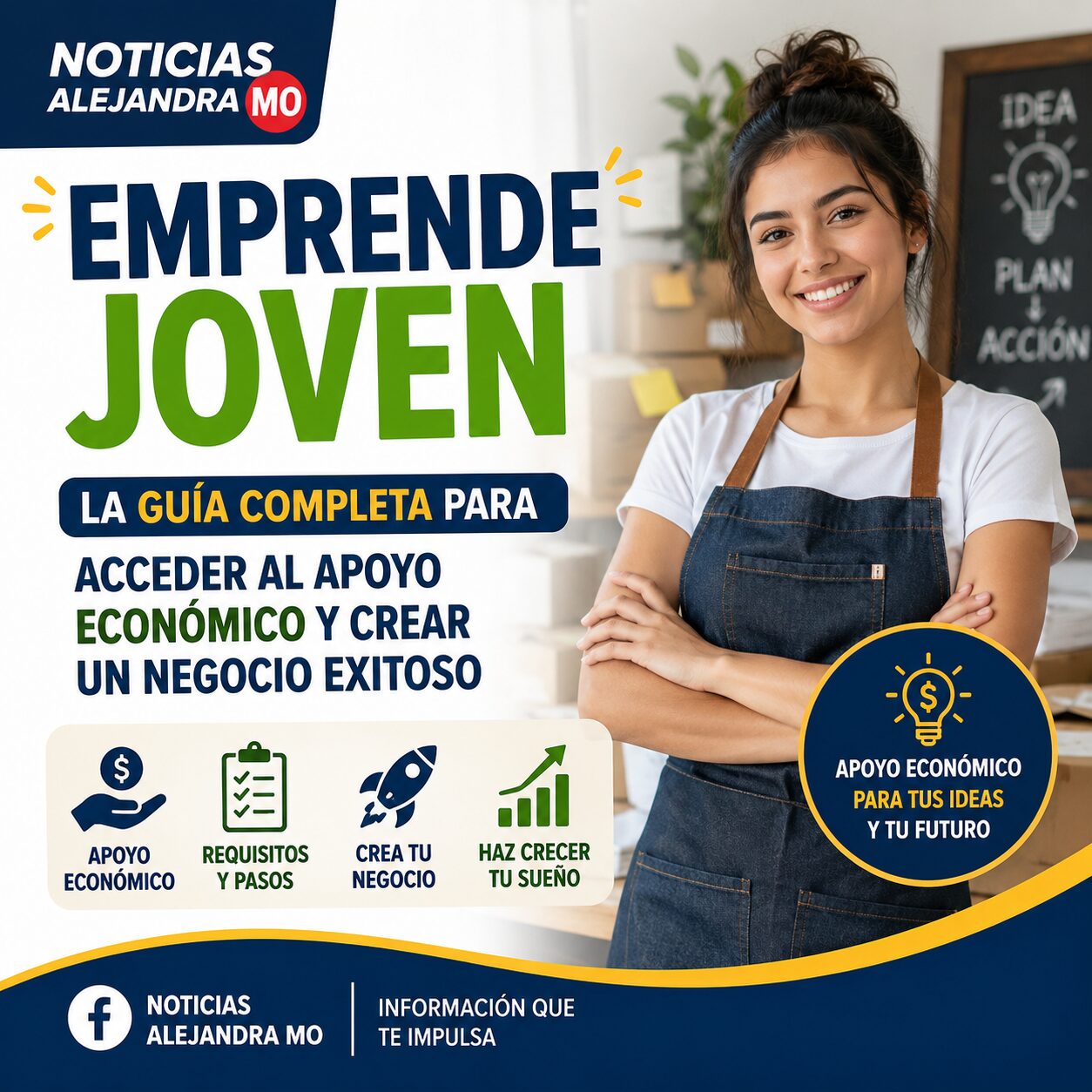 Emprende Joven : la guía completa para acceder al apoyo económico y crear un negocio exitoso